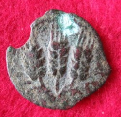 37-44 Agrippa I. Prutah, MG 129 (2).JPG