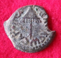 37-44 Agrippa I. Prutah, MG 129 (1).JPG