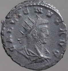 gallienus_goebl1610g_av.jpg