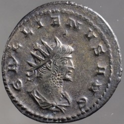 gallienus_goebl1650f_av.jpg