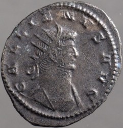 gallienus_goebl1642a_av.jpg