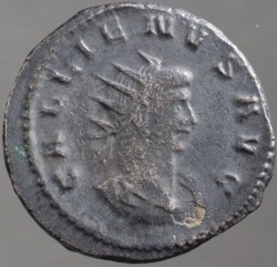 gallienus_goebl1653f_av.jpg