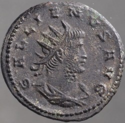 gallienus_goebl1650f_b_av.jpg