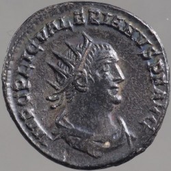 valerianus_goebl_1700a_av.jpg
