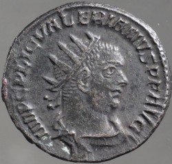 valerianus_goebl_1681e_av.jpg