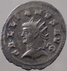 gallienus_goebl1630f_av.jpg