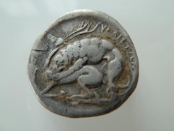 unknown coin 2.jpg
