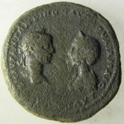 1027_julia_maesa_a.JPG