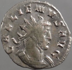 gallienus_goebl988r_av.jpg