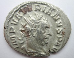 A0183a.JPG