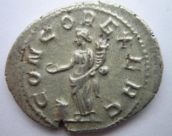 A0183b.JPG