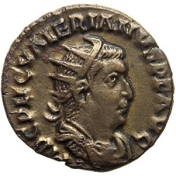 Foto(2).JPG