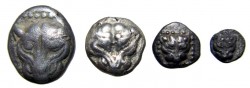 lionsfamily1.jpg