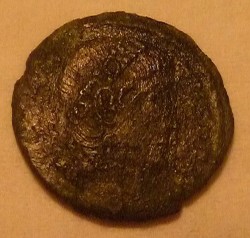 comp_P1050165.jpg