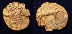galli.jpg