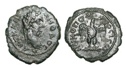 195_nikopolis_commodus_Varbanov2184corr.jpg