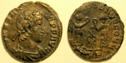 Constans1.jpg