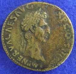 nerva1.JPG