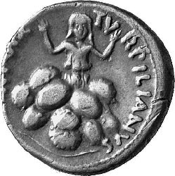 Riesenchampignons.jpg (51.02 KiB) 1534 mal betrachtet Riesenchampignons.jpg