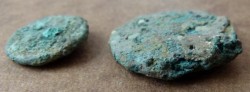 durchmineralisiert 1.jpg