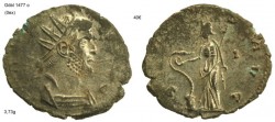 gallienus salus avg26.jpg