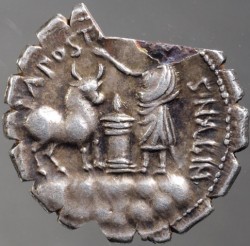 Postumius_Alb_rv.jpg