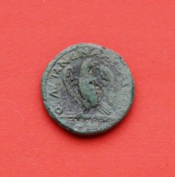 gordian 2.jpg
