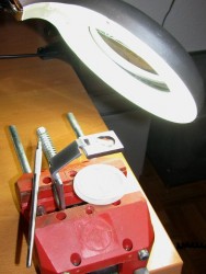 IMG_6983.JPG