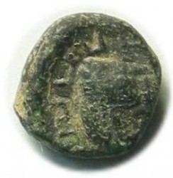pic1.jpg