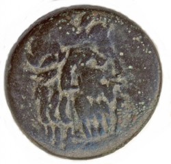 herakles2.jpg
