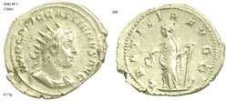 gallienus laetitia avgg5.jpg