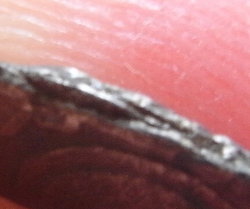 RIMG0003.JPG