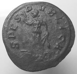 carus1.jpg