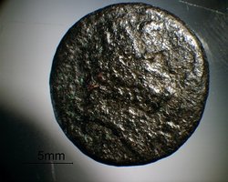 münze015klein.jpg