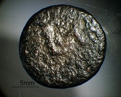 münze014klein.jpg