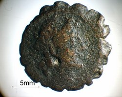 münze001klein.jpg