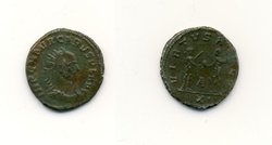 Carusgesamt1.jpg