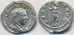 alex - virtus.jpg