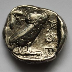 Eule 1.jpg