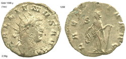 gallienus laetitia avg19.jpg