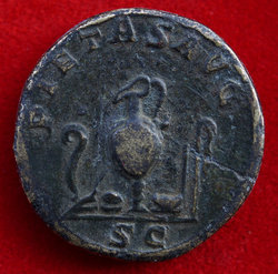 MaximusAs1^D.jpg