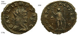 gallienus marti pacifero11.jpg