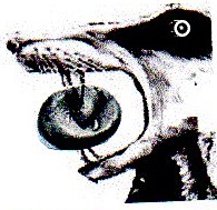 img381.jpg