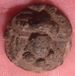 RIMG0004 - Kopie.JPG