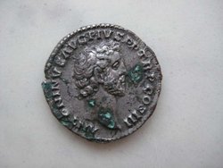 Antoninus Pius Denar Avers.jpg