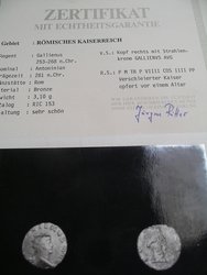 IMGP0416.JPG