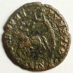 Centenionalis-2.jpg