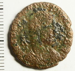 Centenionalis-1.jpg