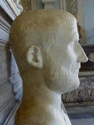 mc_probus_albani_II.jpg