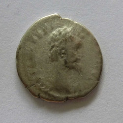 minerva_av.jpg